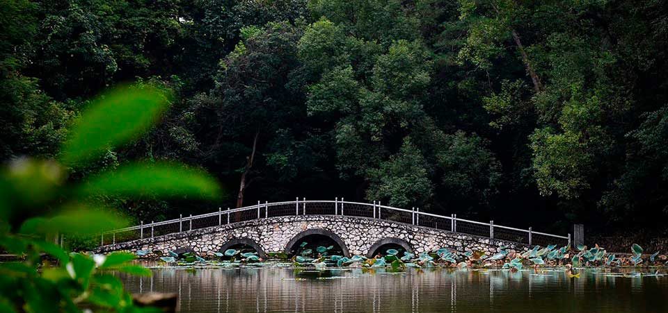 Guangxi University for Nationalities