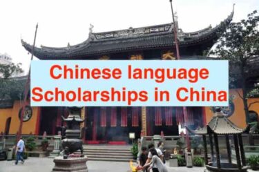 Chinese Language Courses