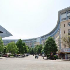 China West Normal University scholarship