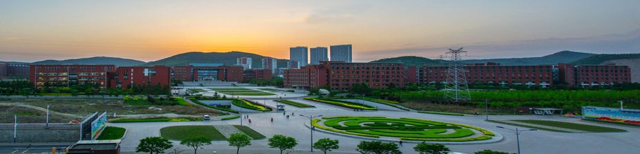 Dalian University