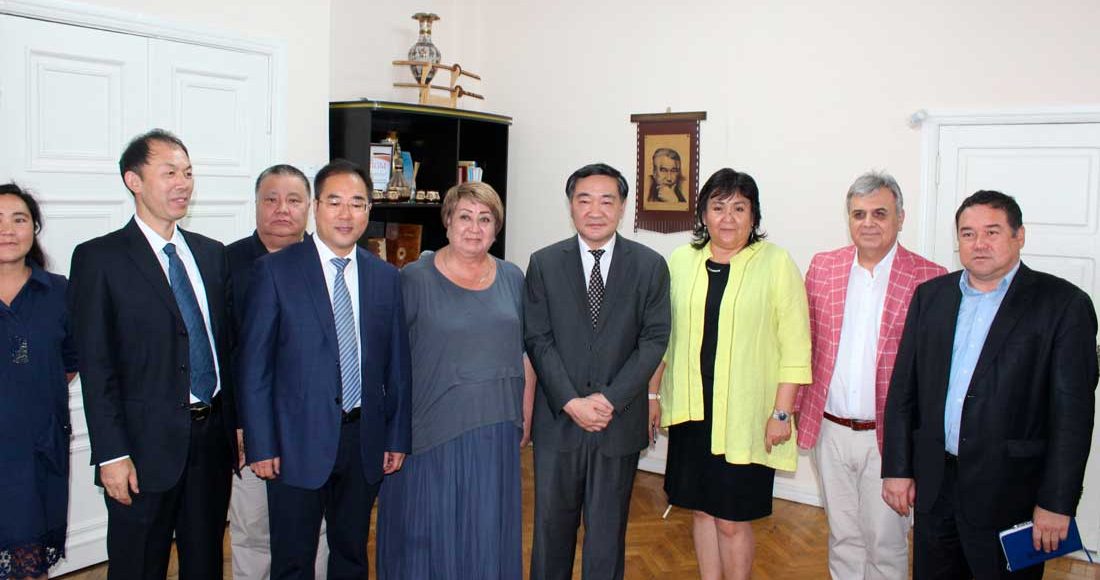 Hebei Medical University academic staff