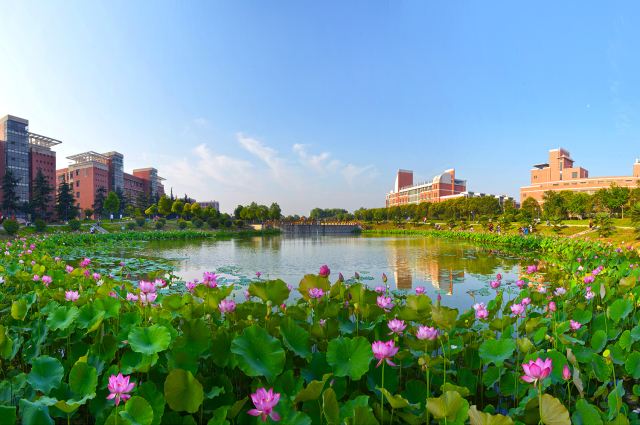 Henan Polytechnic University scholarships