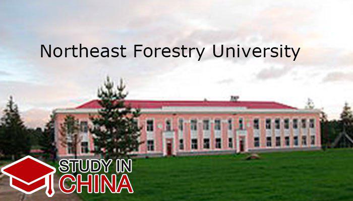 Northeast Forestry University1