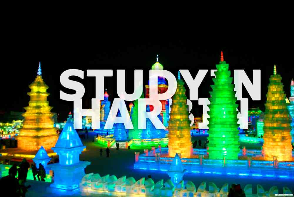 Study in Harbin