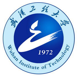 Wuhan Institute of Technology history