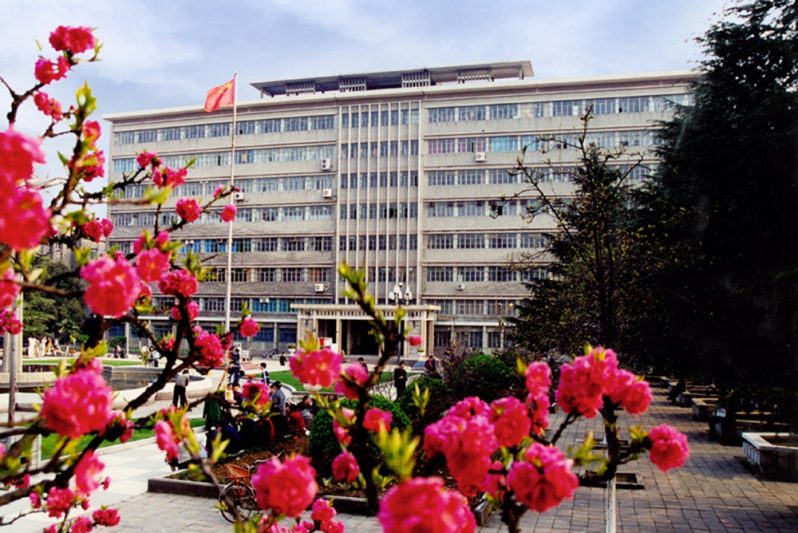 Wuhan University of Technology scholarship