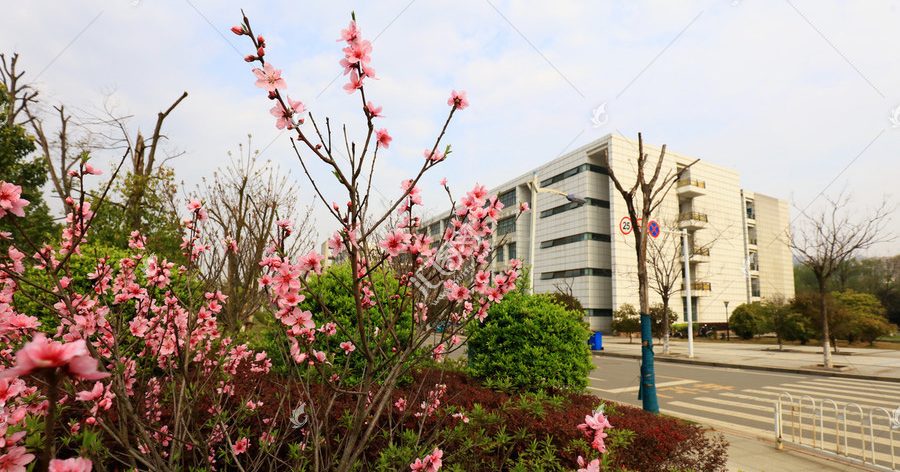 Wuhan University of Technology